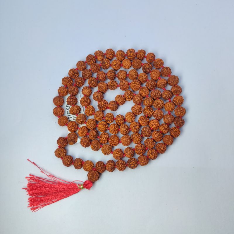 6 Mukhi Rudraksha Mala